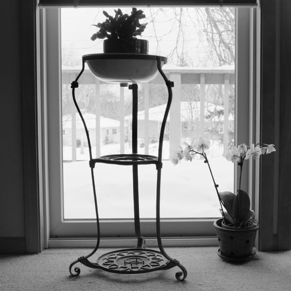 A washstand sitting in front of a glass door is being used as a plant stand to hold a pot of Christmas cactus. On the floor on the right is a pot of orchids sitting on the carpeted floor. Outside the window snow  is covering the deck, and two building are in the far background.