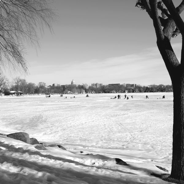 View from shoreline on a sunny day of snow-covered, frozen Monona Bay. People in the distance are standing or sitting near ice fishing holes and ice fishing huts. On the far shoreline is Brittingham Park, the park shelter, and houses. Above the treeline is the dome of the Wisconsin State Capital, along with the upper stories of other downtown buildings.