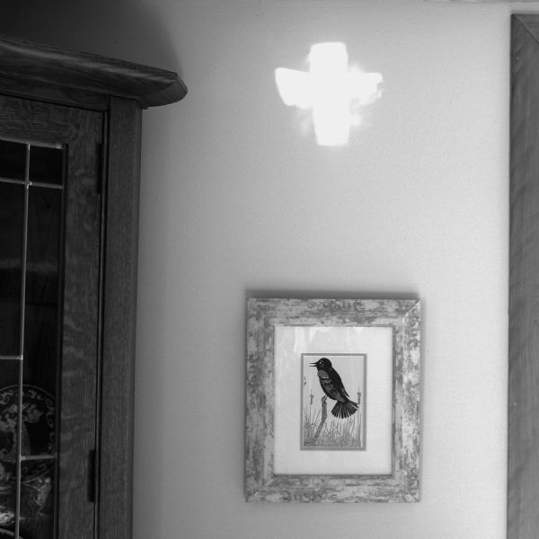 A small framed picture of a bird hanging on the wall near a wooden cabinet with glass doors. Above the picture is a white shape created by a reflection of light.