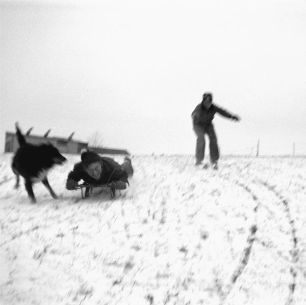 Two boys playing on a snow-covered hill on a farm. There is a house in the background. One boy is sledding down the hill on a sled face first, while a dog is running alongside him. The other boy is standing with some difficulty on skis preparing to slide down.