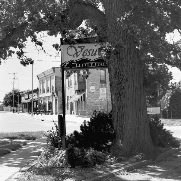 A large Bur Oak tree is shading a sign for Vesuvio's Little Italy restaurant on the corner of Washington and South 7th Street. Brick buildings across the street are along a wide sidewalk, and include a restaurant with outdoor seating. Another sign is near the tree on the left, and is facing the sidewalk. Not readable in the image, the sign reads: "Delavan Civil War volunteers assembled beneath this bur oak tree, for muster, 1861-1865, before boarding trains for the Union Army training camps."