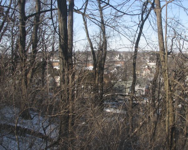 A view of Blanchardville through trees, from a hill above the school. 
