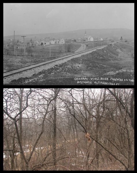 A vintage view and a modern view of the same area in Blue Mounds, presented as a pair. The vintage view shows a road leading into the town. The modern view shows the area overgrown with trees.