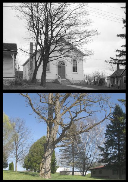 A vintage view and a modern view of the same piece of land in Linden, presented as a pair. In the vintage view, it is the location of a Cornish Primitive Methodist Episcopal Church. In the modern view, the church is gone and there is only a tree-filled lot. 