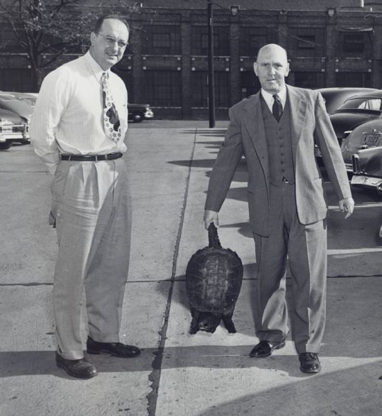 Two executives standing in a parking lot behind the Gisholt Machine Company. The  man on the left is standing with his hands behind his back. The man on the right, identified as Theodore Bare (of Gisholt Main Office Estimating), is wearing a three-piece suit and holding a snapping turtle by its tail. Bare reportedly caught the turtle at his cottage in Hayward, and it "weighed 28 pounds and provided 10 pounds of good meat for the freezer). Automobiles are parked behind them, and the side of a factory building is in the far background.