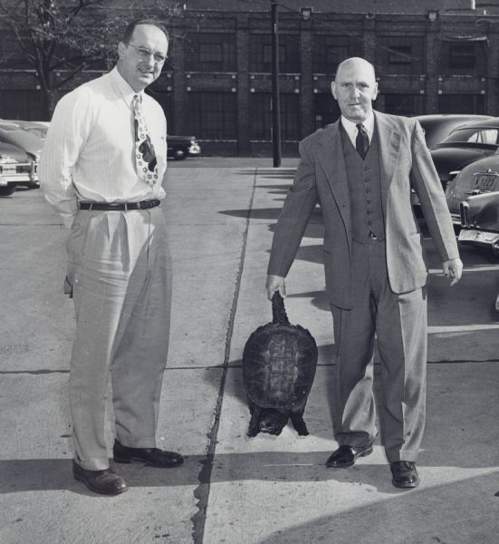 Two executives standing in a parking lot behind the Gisholt Machine Company. The  man on the left is standing with his hands behind his back. The man on the right, identified as Theodore Bare (of Gisholt Main Office Estimating), is wearing a three-piece suit and holding a snapping turtle by its tail. Bare reportedly caught the turtle at his cottage in Hayward, and it "weighed 28 pounds and provided 10 pounds of good meat for the freezer). Automobiles are parked behind them, and the side of a factory building is in the far background. 