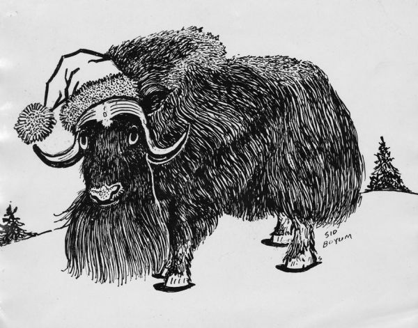 Ink drawing of a bearded, African buffalo standing in the snow and wearing a stocking hat. In the background are two evergreen trees that are emblematic of winter holidays. Sid has signed the work with his signature "S" and "Sid Boyum."
