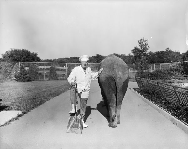 View down sidewalk towards Sid, wearing a white coat, white hat, and boots, standing beside an elephant while holding a shovel in his right hand with his right foot resting on it. Sid is facing the camera and has his left hand resting on the back hip of the elephant who is facing away. A chain link fence is in the background.