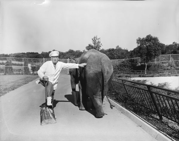 View down sidewalk towards Sid, wearing a white coat, white hat, and boots, standing beside an elephant while holding a shovel in his right hand with his right foot resting on it. Sid is facing the camera and has his left hand resting on the back hip of the elephant who is facing away. A chain link fence is in the background.