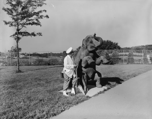 View across sidewalk towards Sid standing and holding a shovel while posing next to an elephant sitting on a bench outdoors. Sid is wearing a white coat, white hat and boots. There is a chain-link fence in the background.