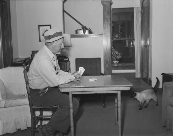 View of a man playing poker alone on the right side of a table in a living room. A cat is walking on the floor next to the table on the left.