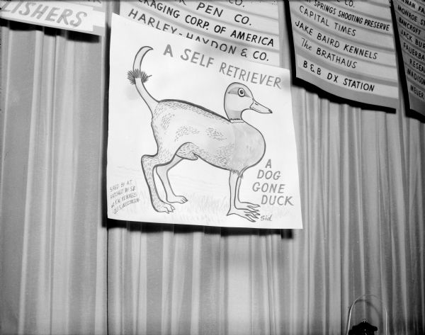 Artwork for Ducks Unlimited by Sid Boyum featuring "A Self Retriever" or "A Dog Gone Duck," which is half duck, half dog. The lower left corner of the poster also states the creature was: "Sired by A.T. Hatched by S.B. at K.H. Kennels. O.U.S. Wisconsin." The drawing is hung below signs listing companies, all displayed in front of a curtain.