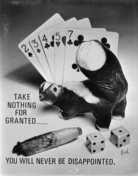 Photographic poster featuring a skunk, a half-chewed cigar, a pair of dice rolled to snake eyes, and a hand of cards with nearly a straight. The text states, "Take nothing for granted . . . You will never be disappointed."