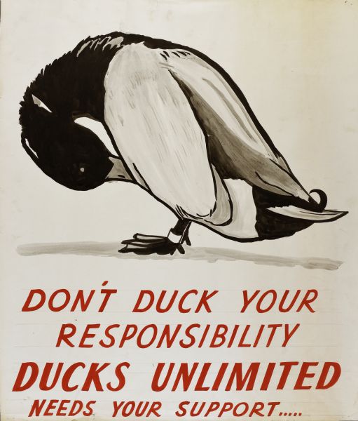 Poster for Ducks Unlimited, depicting a duck bowing its head with its bill under a wing. There is a band on the duck's leg. Below, text reads: "Don't Duck Your Responsibility. Ducks Unlimited Needs Your Support."