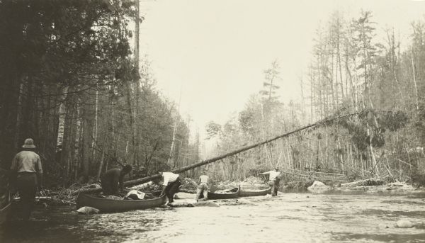 The Gang guiding their canoes through a shallow portion of the Quetico River near a dam. There is a fallen tree across the river.