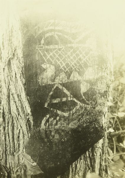 Inscriptions or drawings on bark (which is possibly birch bark).