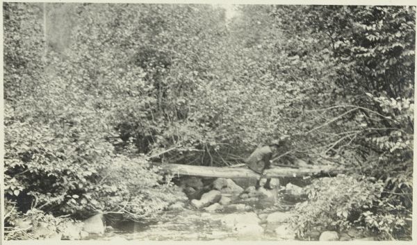 Doc Copeland fishing from his perch on a log over a stream.