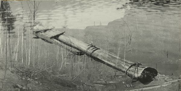 View of a raft floating in the water. Carl made this primitive "raft" of a single saw log and a tree trunk fastened together with nails. 