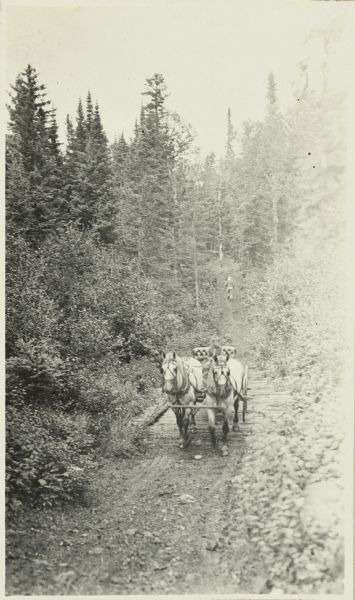 Slightly elevated view from side of road towards Jack riding on a horse-drawn wagon on Tote Road as The Gang begin their journey home. This road was between Chicago Bay and the lumber camp on McFarland Lake.
