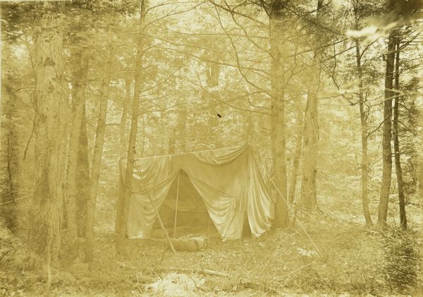The Gang's tent is set up in the woods at their eighth camp of the trip.