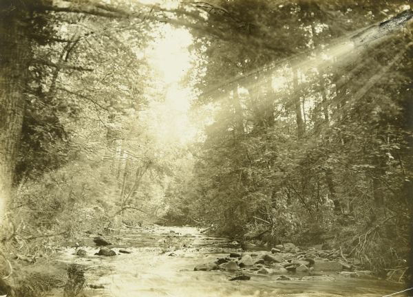 Rays of sunlight shining through the trees over Little River.
