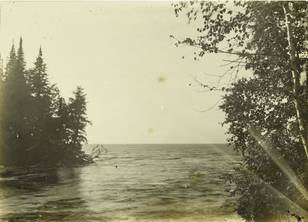 A view past trees of Lake Superior.