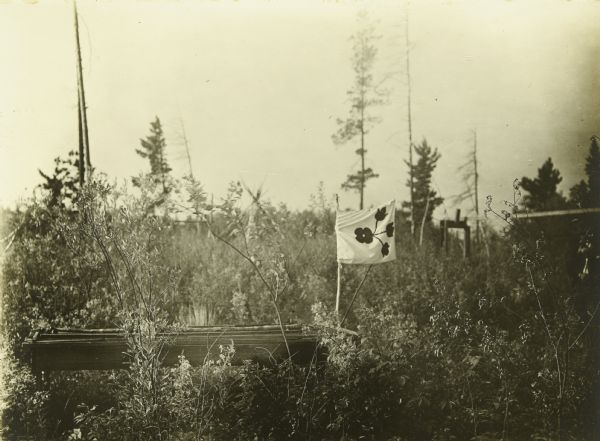 A flag decorated with a floral design marks an Indian grave near Fall Lake.