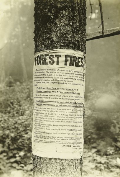 A camp ranger's flier regarding forest fire prevention, rules, and fines posted on a tree.