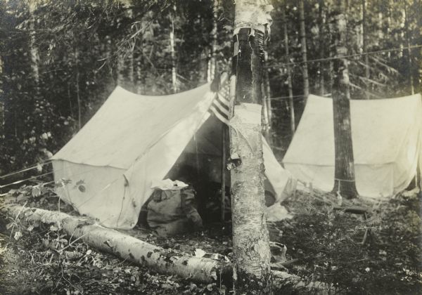 The Gang's camp among birch trees near Kabetogama Lake. There is an American flag hanging on a tree.