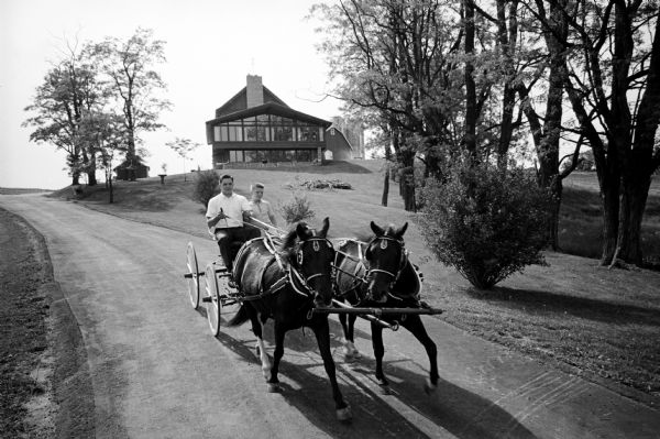 Brothers Greg, left, and Mark Herrling drive a four-wheel buggy pulled by two ponies down a driveway with the family home visible in the background. This is one of a series of photos of a rural Cross Plains farm which was purchased 6 years previous by Stanley Herrling and returned to family ownership after a period of 40 years. The Herrling family has worked to build a comfortable home and restore the farm's soil, forest, and wildlife.