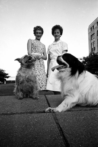 Two ladies posing with their entries in the Badger Kennel Club all-breed show and obedience trials. Mrs. Donald Ralph is on the left with her Brussels Griffon. Carol Crowley is on the right with her Japanese Spaniel.
