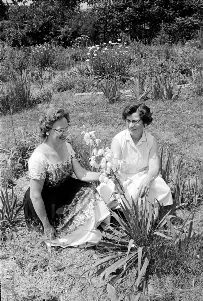 Irene Straus and Ellen Antoine, certified flower show judges, crouch while inspecting flowers in a garden.