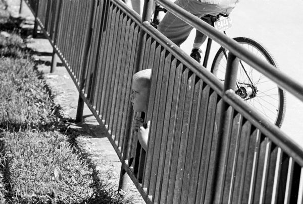 A young boy sticking his head through the fence while watching the animals at the Vilas Park Zoo, a popular summer visiting spot in Madison.