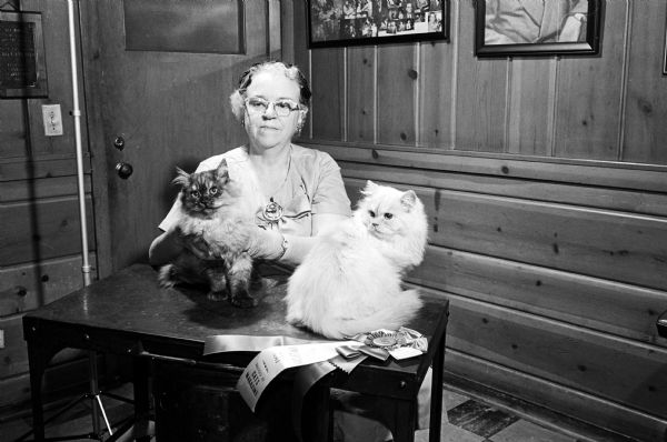 Rachel Salisbury of Milton Junction, a retired college English and Education teacher, sitting with two of her Persian cats with a large awards ribbon in the foreground. Salisbury bred Persian cats for coloration and entered them in cat club competitions, including some of her cameo Persian cats in the Madison Cat Club's show. The two cats pictured are named Bright Shadow and Gold Pigeon. 