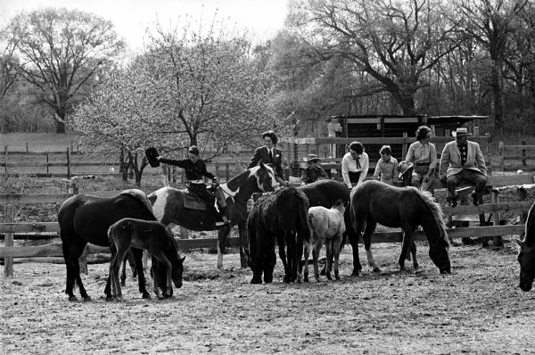The Bill McCaskill family and some of their stock at the 300 acre Azur Arab Horse Ranch.