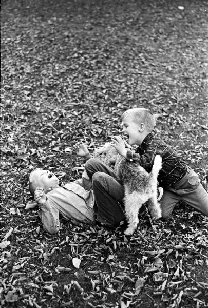 The two sons of Dr. Evert and Phyllis Wallenfeldt are shown playing with their wirehaired dog, Chips, in the leaves on the family lawn. Jeffrey, 7, is on the ground (left) with the dog and his brother David, 4, is beside him.