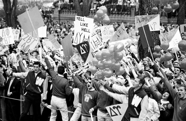 A crowd of Delta Upsilon members and others being led by cheerleaders at the "Yell Like Hell" contest on the steps of Memorial Union during Homecoming week. Also seen are balloons, fraternity banners, and trumpets.