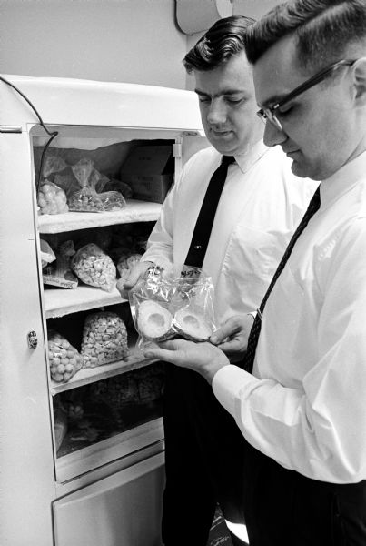 Robert C. Webster (left), manager of the marketing and foods application division, and E.J. Benson, project manager of immersion freezing, at Air Reduction Sales, Co., E. Washington Avenue, inspect an avocado which was frozen in liquid nitrogen two years ago.