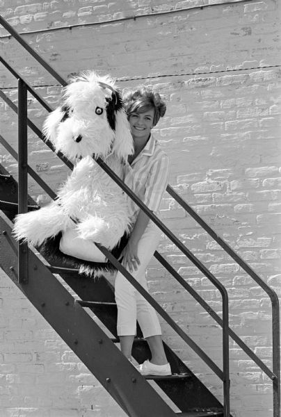 Actress Patti Chandler, from California, is touring Wisconsin to promote the movie "Bikini Beach" showing at the Orpheum Theatre, in which she appears. She travels with her very large English sheep dog (stuffed), who is known as "Mr. Bikini." The dog was a gift from the actor George Hamilton. She was a former "Miss Culver City," which helped her advancement into show business. She was interviewed in the office of The Wisconsin State Journal.
