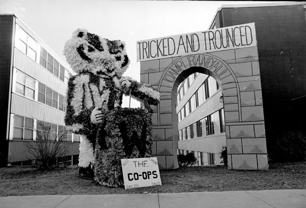 Here is how Susan Davis, Rust, Schreiner and Bayliss Co-ops depict the outcome of the Badger-Spartan football game in their Homecoming decorations. "Tricked and Trounced."
