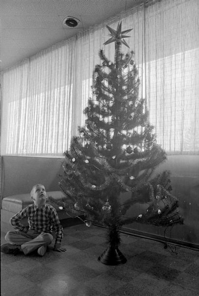 Jimmy Zimmerman, age 6, is looking over a polyvinyl Christmas tree at the Dream Lanes bowling alley on Cottage Grove Road. Green polyvinyl is the latest thing in the booming artificial tree market. A description in the newspaper describes it as: "Constructed something like a multi-armed 7-foot bottle brush."