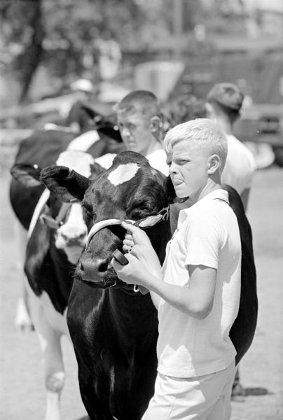 A young man is standing with his cow outdoors.