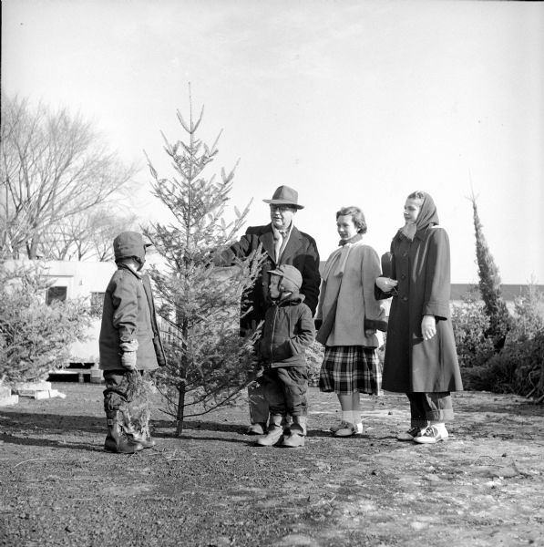 Boy Scouts of the Four Lakes Drum and Bugle Corps have set up a lot to sell Christmas trees at the Gisholt Machine Company. Lloyd Hansen is acting as a salesman to point out the merits of the fine fir to members of the William R. Brunsell Jr. family. Left to right are: Carter, Craig, Barbara and Mrs. Lola Brunsell.