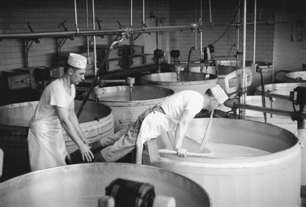 Cheese makers Alfred Abplanalp (right) and Bernard Cupp perform the old-time Swiss cheese making method of using cheese cloth to skim the curd from the top of the vault of whey at the West Middleton Cheese Cooperative.
