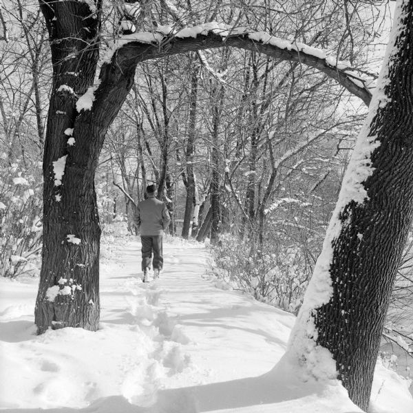 Man hiking in fresh snow at Tenney Park.