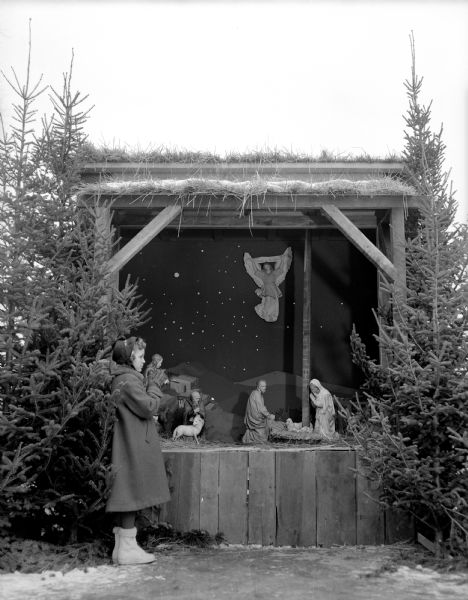 A girl is admiring the outdoor nativity displayed at the Grace Episcopal Church at 116 West Washington Avenue on Capitol Square. The display includes Mary, Joseph and baby Jesus, with an angel overhead in a starry sky. It is flanked by pine trees.
