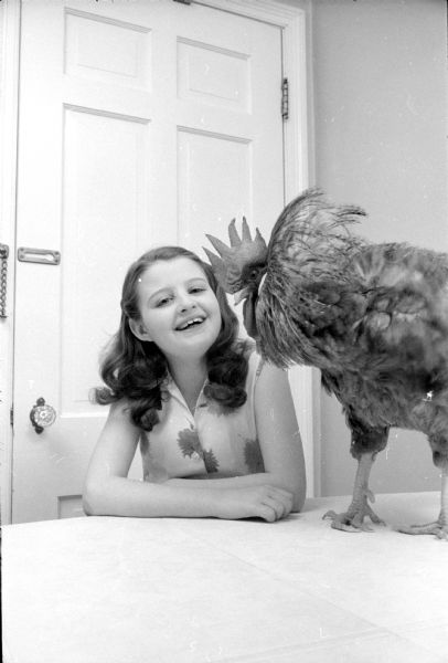 Barbara Scholidon posing with her 1-year-old pet rooster. She had brought the chicken home from a Lapham School project that hatched twelve chicks from an incubator.