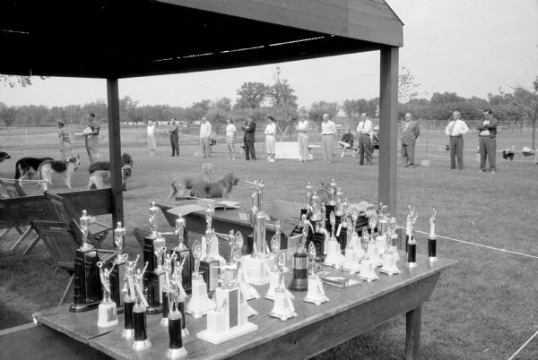 Participants and their dogs standing together as judges look over the canines at the 4th Annual Dog Obedience Trials held at the Double A Arena near Cambridge. Some of the trophies awarded at the trials are shown in the foreground. The event was sponsored by the Lakeland Dog Training Club.     
