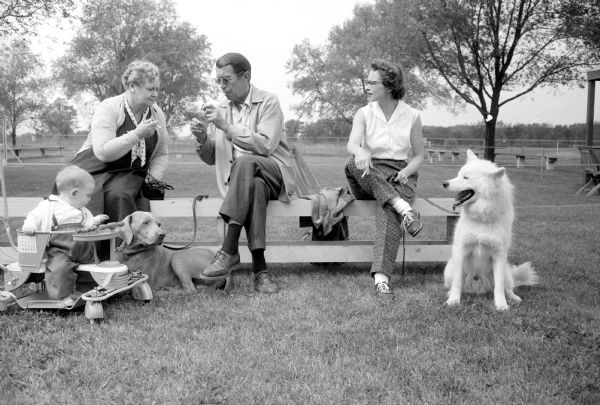 Participants in the 4th Annual Dog Obedience Trials held at the Double A Arena near Cambridge relax while they await the judging for their dog's classes. Shown from left to right are: Mrs. Lawrence Wene, Dr. Orin Gregenson and Mrs. Robert Lynch. Mrs. Lynch's son Tommy (aged 10 months) sits in his stroller. Dr. Gregenson's Weimaraner, Fritz, sits in front of him while Mrs. Lynch's Samoyed, Fang, also relaxes.    