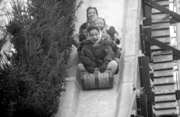 A group of five happy children going down the hill on a wooden toboggan at Olbrich Park. The hill is a man-made slide, edged with small pine trees.